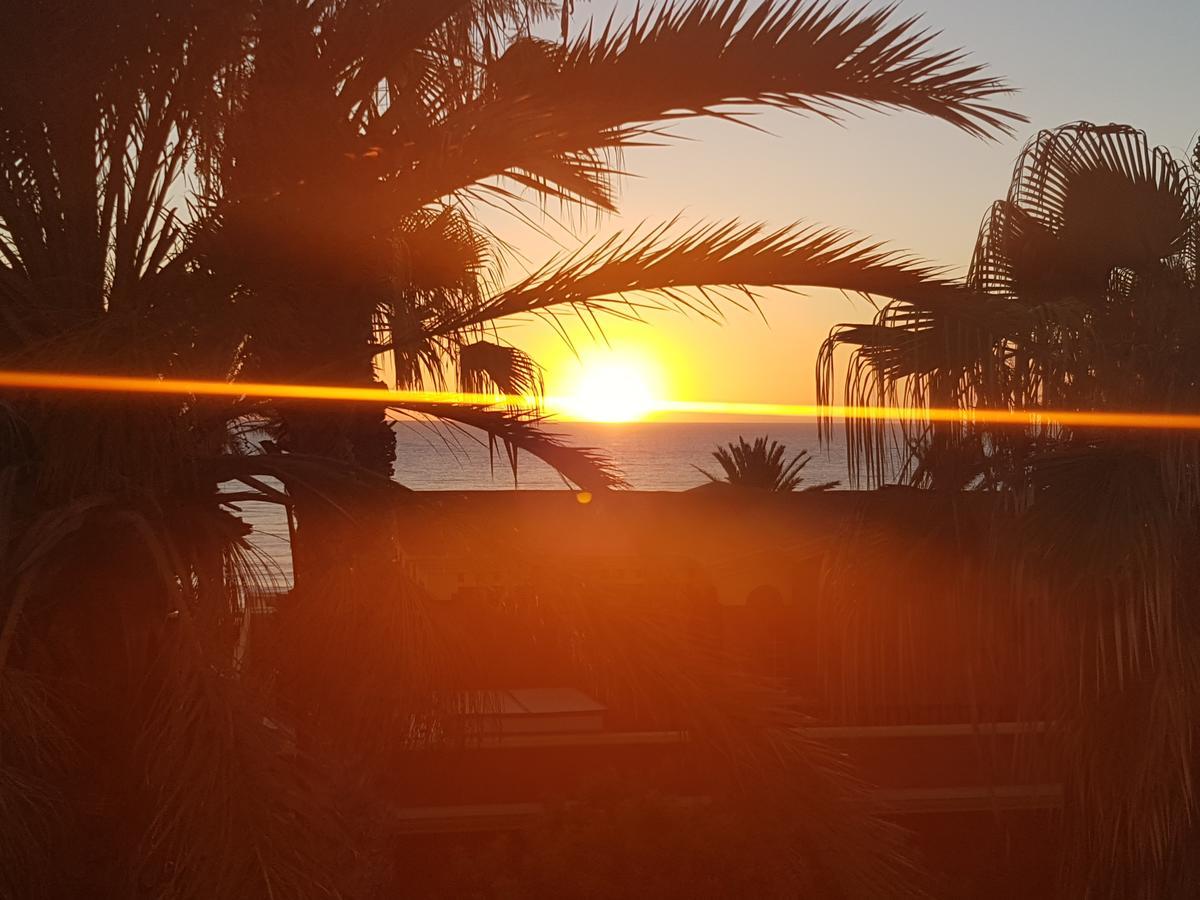 Vila Lavanda Playa de las Americas  Ngoại thất bức ảnh